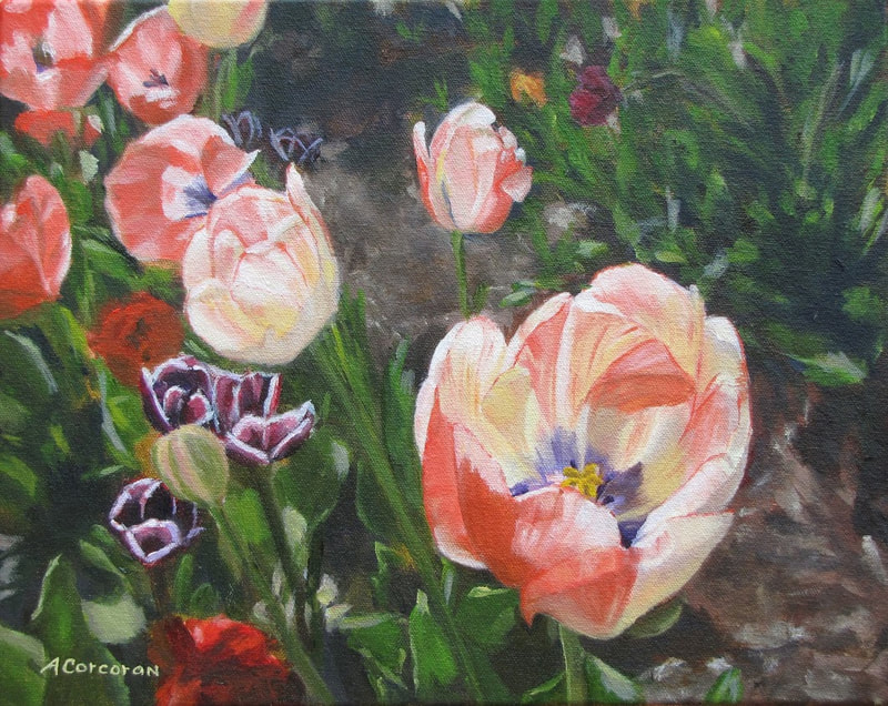 "Apricot Beauty", Garden of tulips.  Oil painting by Arline Corcoran, Danbury, CT