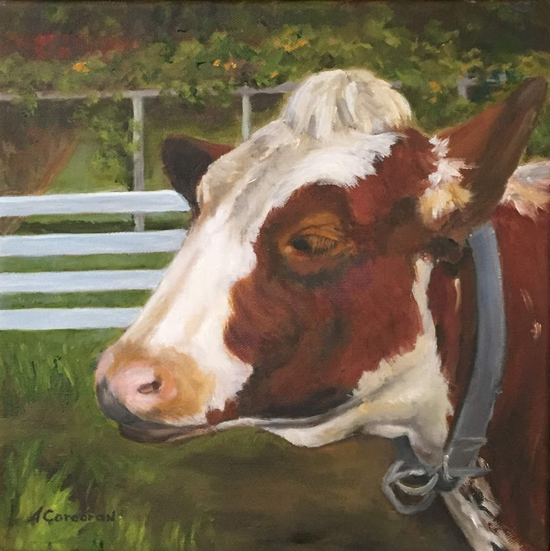 "Cow Portrait 2", Brown and white head of a New Pond Farm cow.  Oil Painting by Arline Corcoran, Danbury, CT