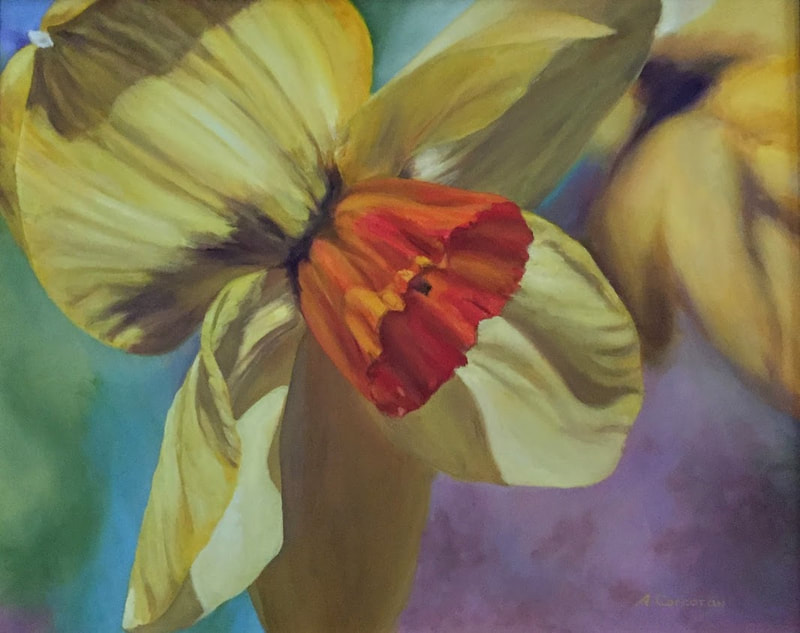 "Daffodil", Oil painting by Arline Corcoran, Danbury, CT