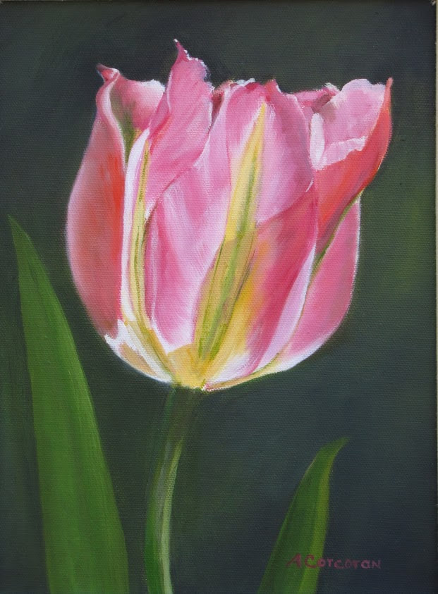 "Tulip", single pink tulip, oil painting by Arline Corcoran, Danbury, CT